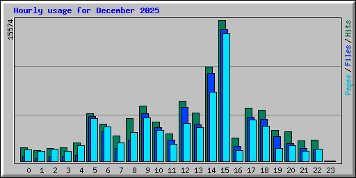 Hourly usage for December 2025