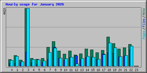 Hourly usage for January 2026
